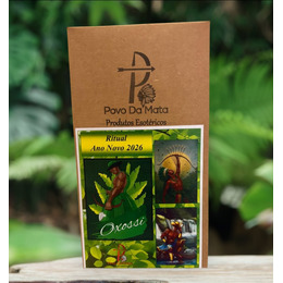 Ritual Ano Novo 2026